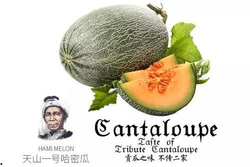 吃瓜的娱乐号,吃瓜群众视角下的明星幕后故事