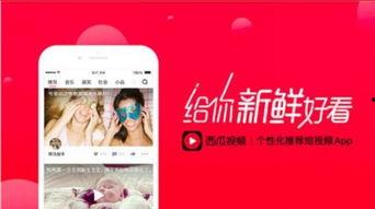 吃瓜娱乐封面怎么做的视频