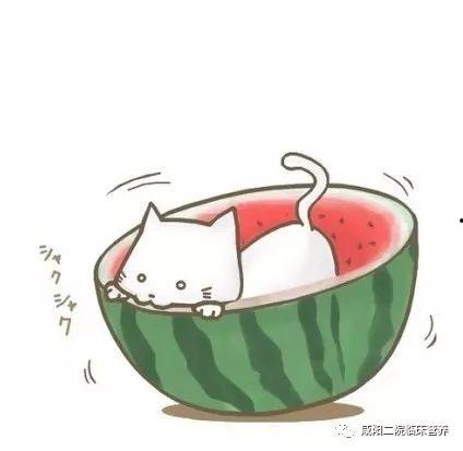 娱乐吃瓜头像图片图文并茂,揭秘明星幕后故事，趣味头像带你一探究竟