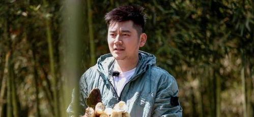 娱乐圈吃瓜钱枫视频合集,盘点明星幕后趣事